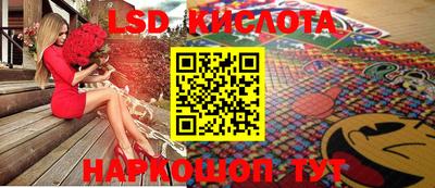 стаф Краснодар