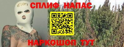 стаф Краснодар